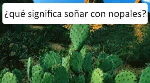 ¿qué significa soñar con nopales?