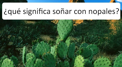 Soñar con nopales