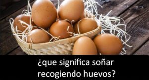 ¿que significa soñar recogiendo huevos?