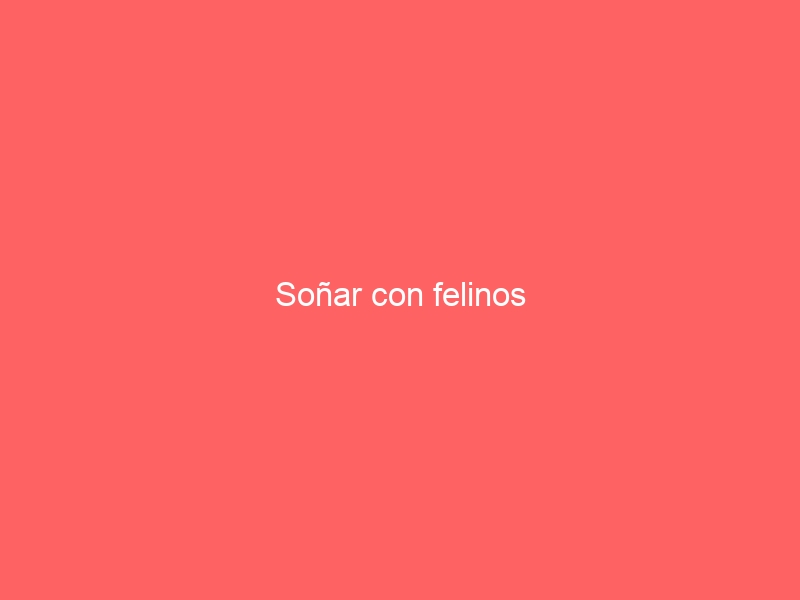 Soñar con felinos