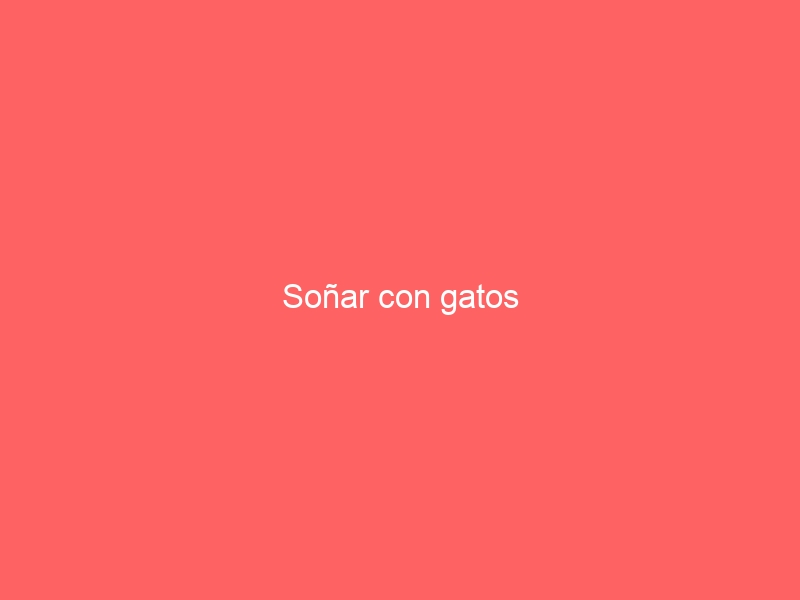 Soñar con gatos