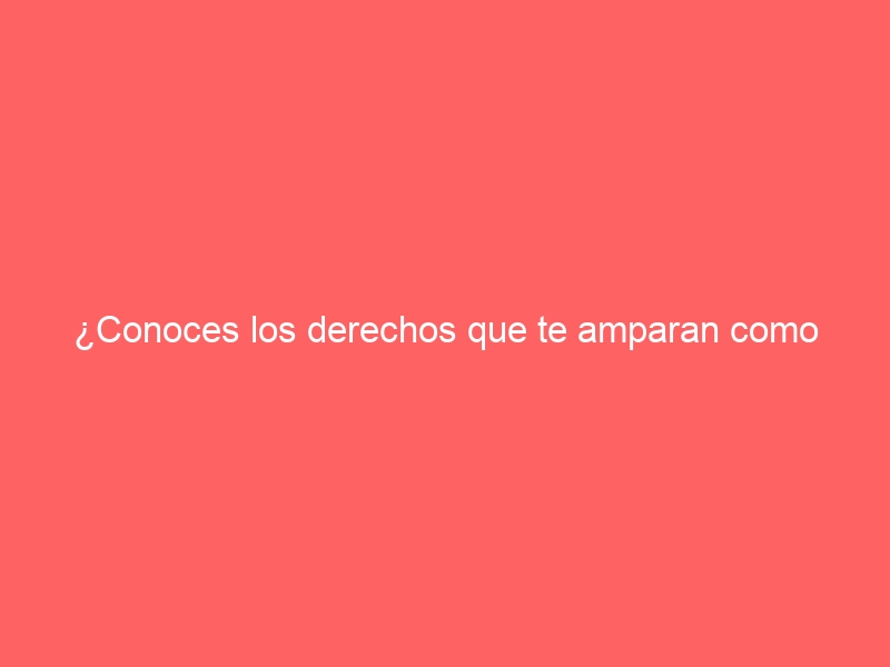 ¿Conoces los derechos que te amparan como extranjero en España?