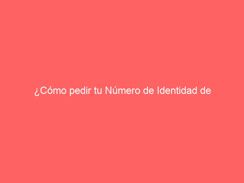 ¿Cómo pedir tu Número de Identidad de Extranjero (NIE)?