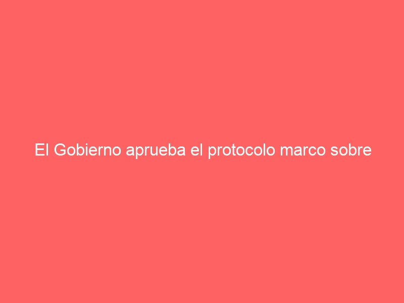El Gobierno aprueba el protocolo marco sobre menores extranjeros no acompañados
