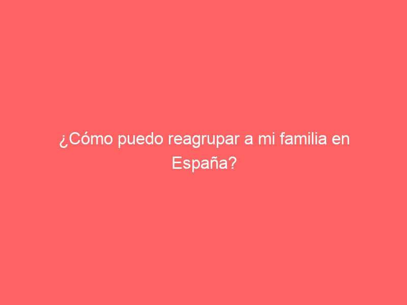 ¿Cómo puedo reagrupar a mi familia en España?