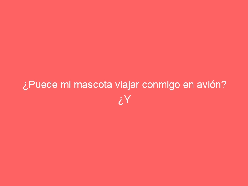¿Puede mi mascota viajar conmigo en avión? ¿Y enviarla en solitario a otro país?