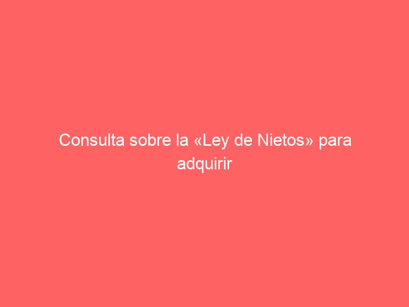 Consulta sobre la «Ley de Nietos» para adquirir la nacionalidad española
