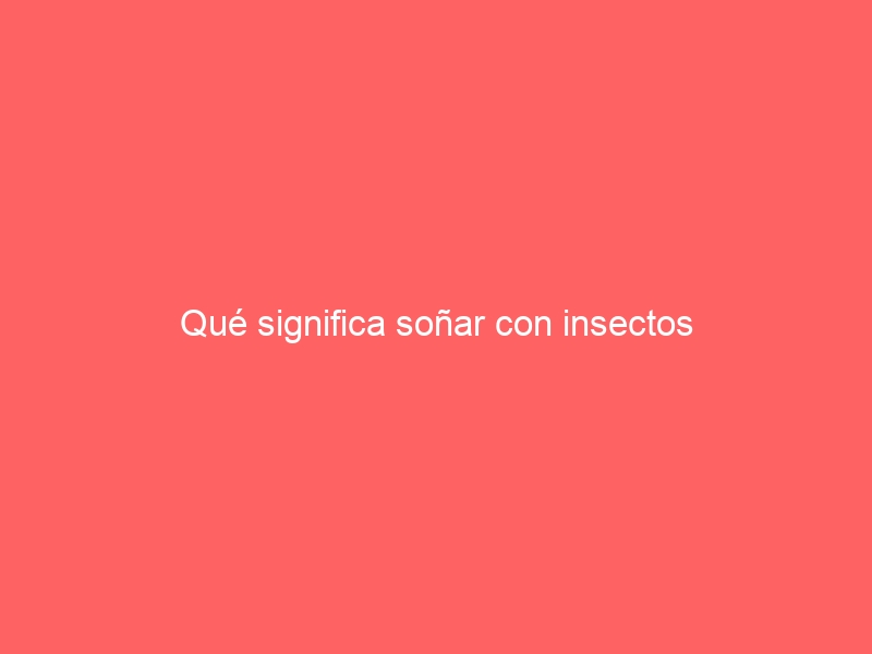 Qué significa soñar con insectos