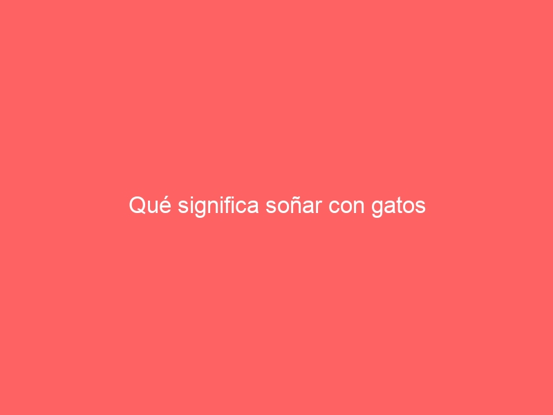 Qué significa soñar con gatos