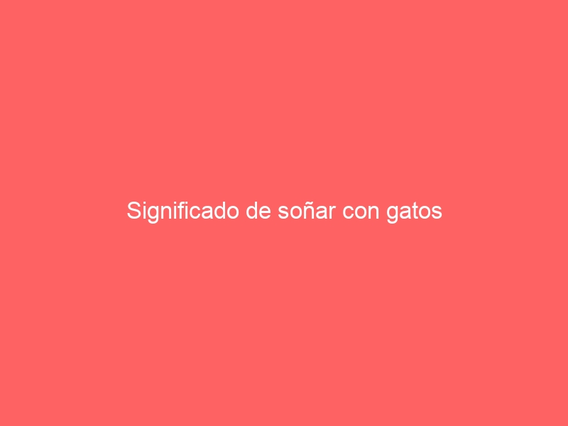 Significado de soñar con gatos