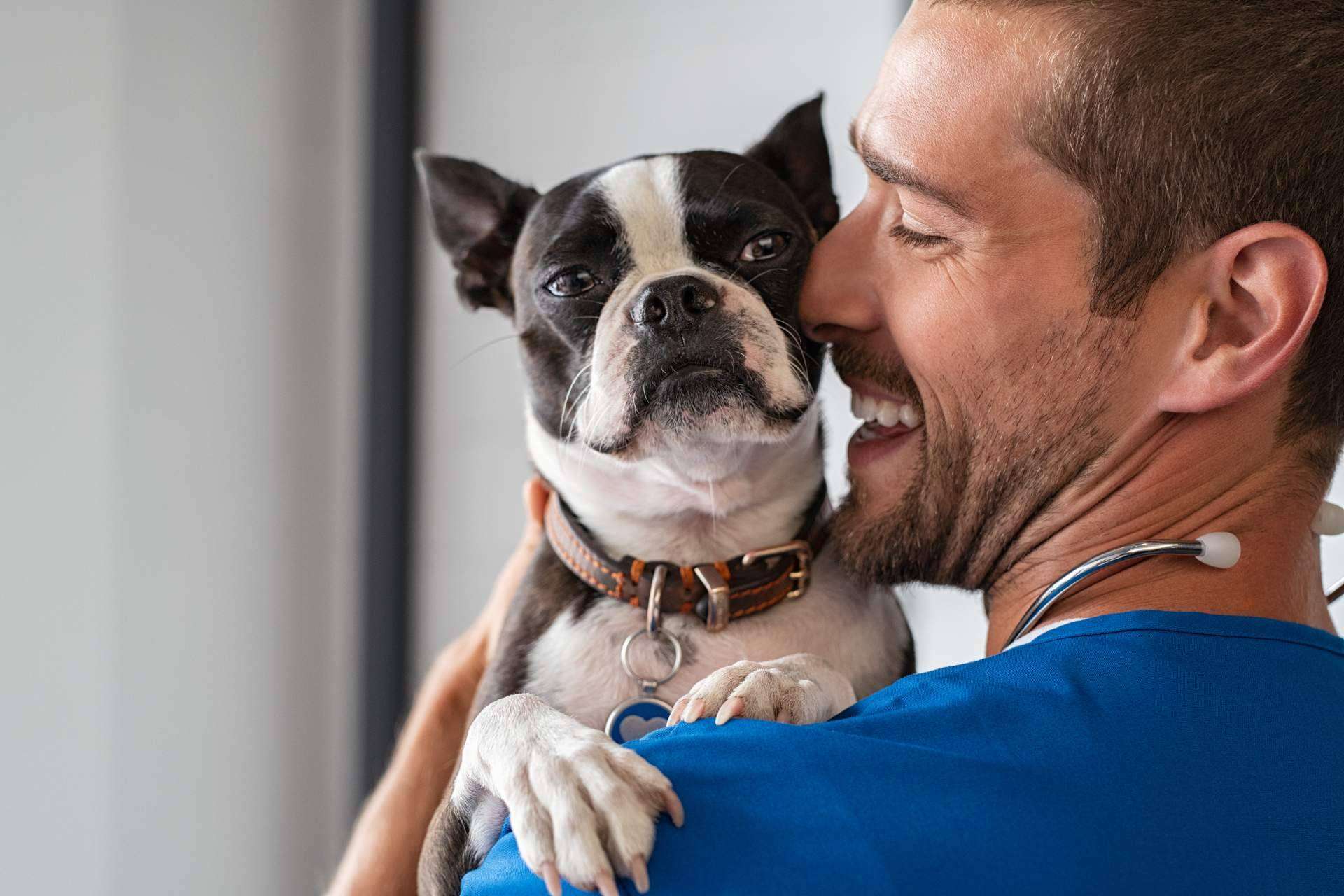 Tecni Estudio ofrece un Curso Auxiliar Técnico de Veterinaria muy completo