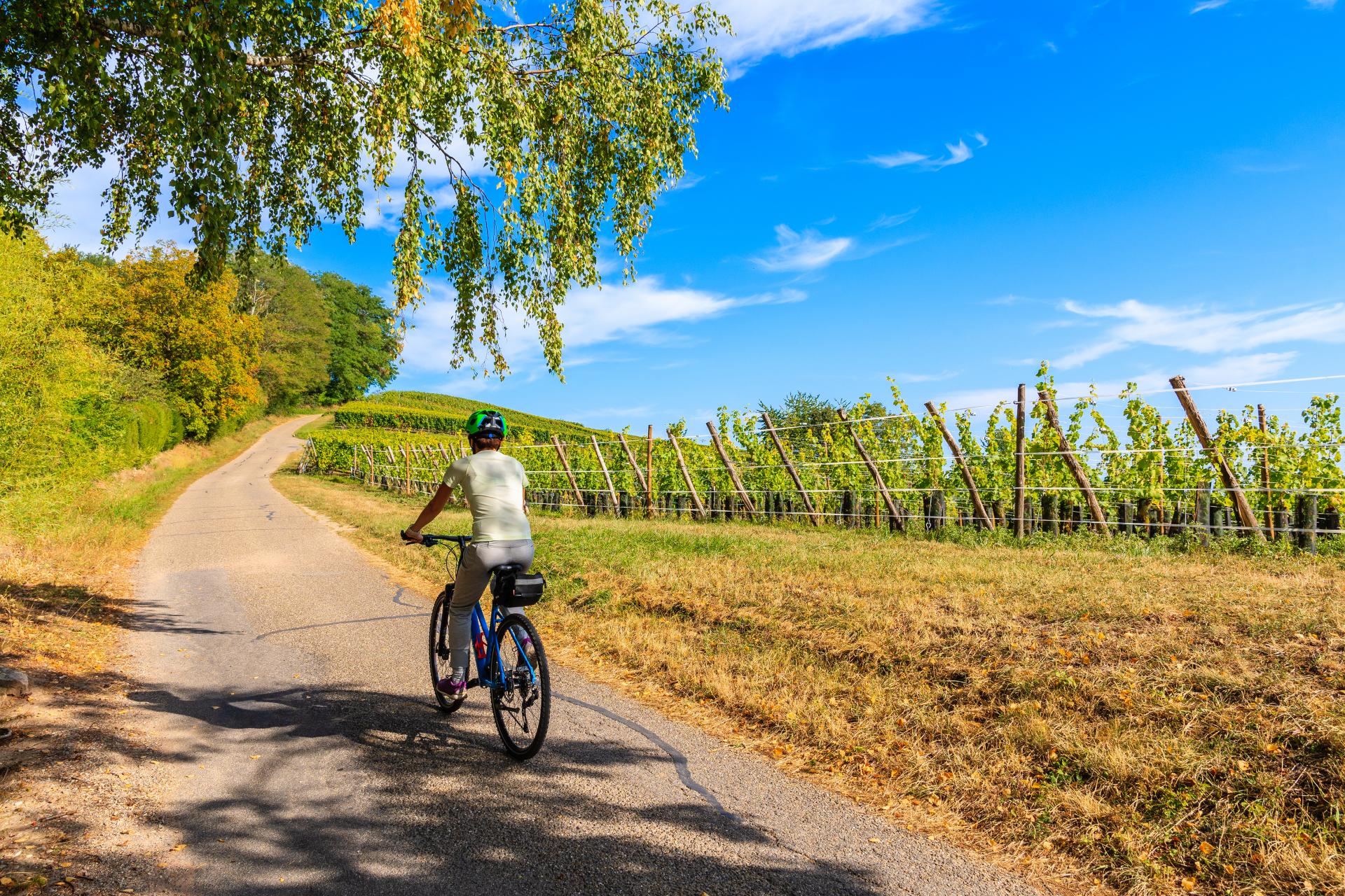 Ruralzoom, marketing profesional de turismo rural