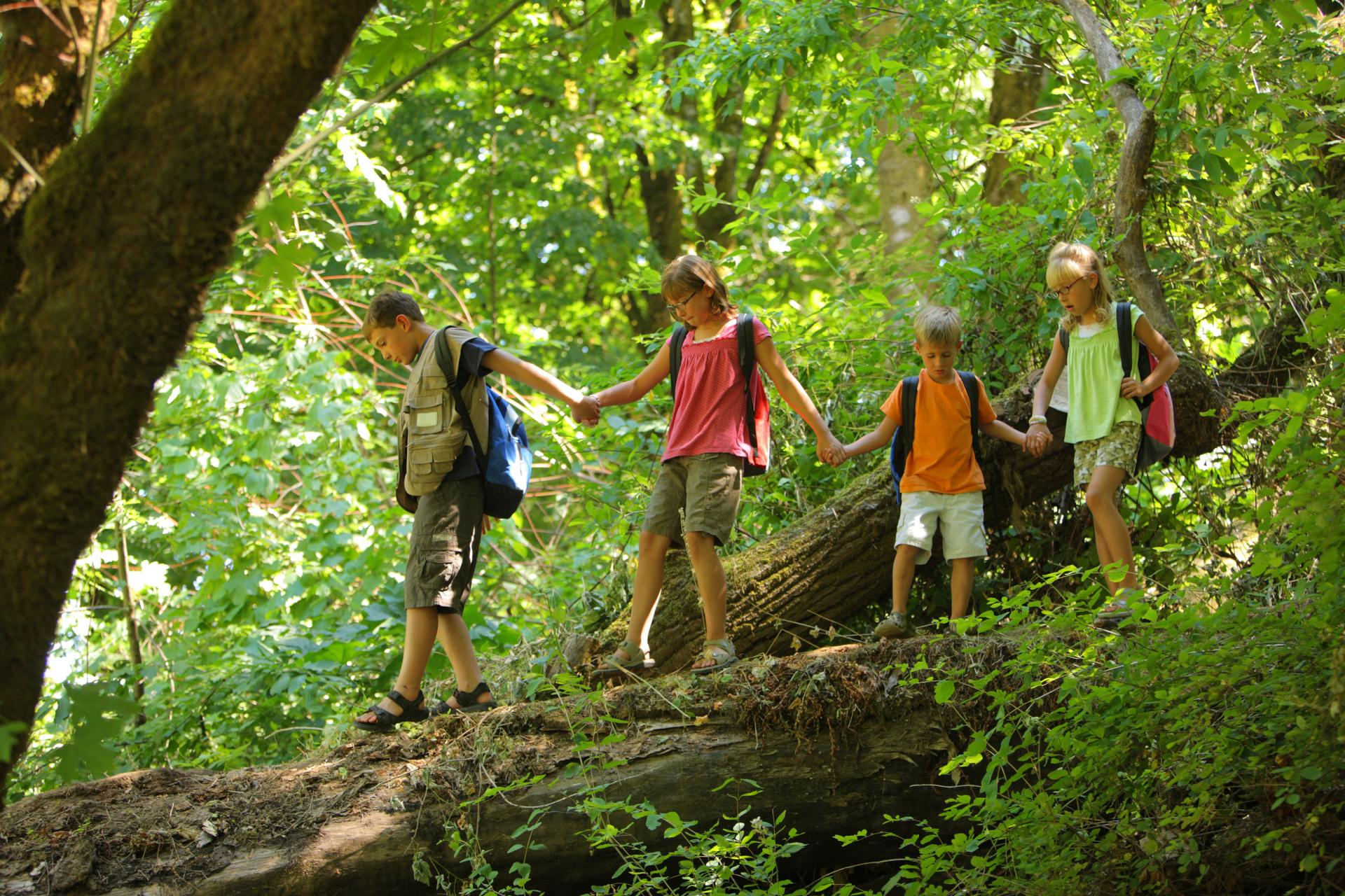 Aventurarte, la empresa de campamentos de verano multiaventura donde niños y adolescentes podrán disfrutar este verano