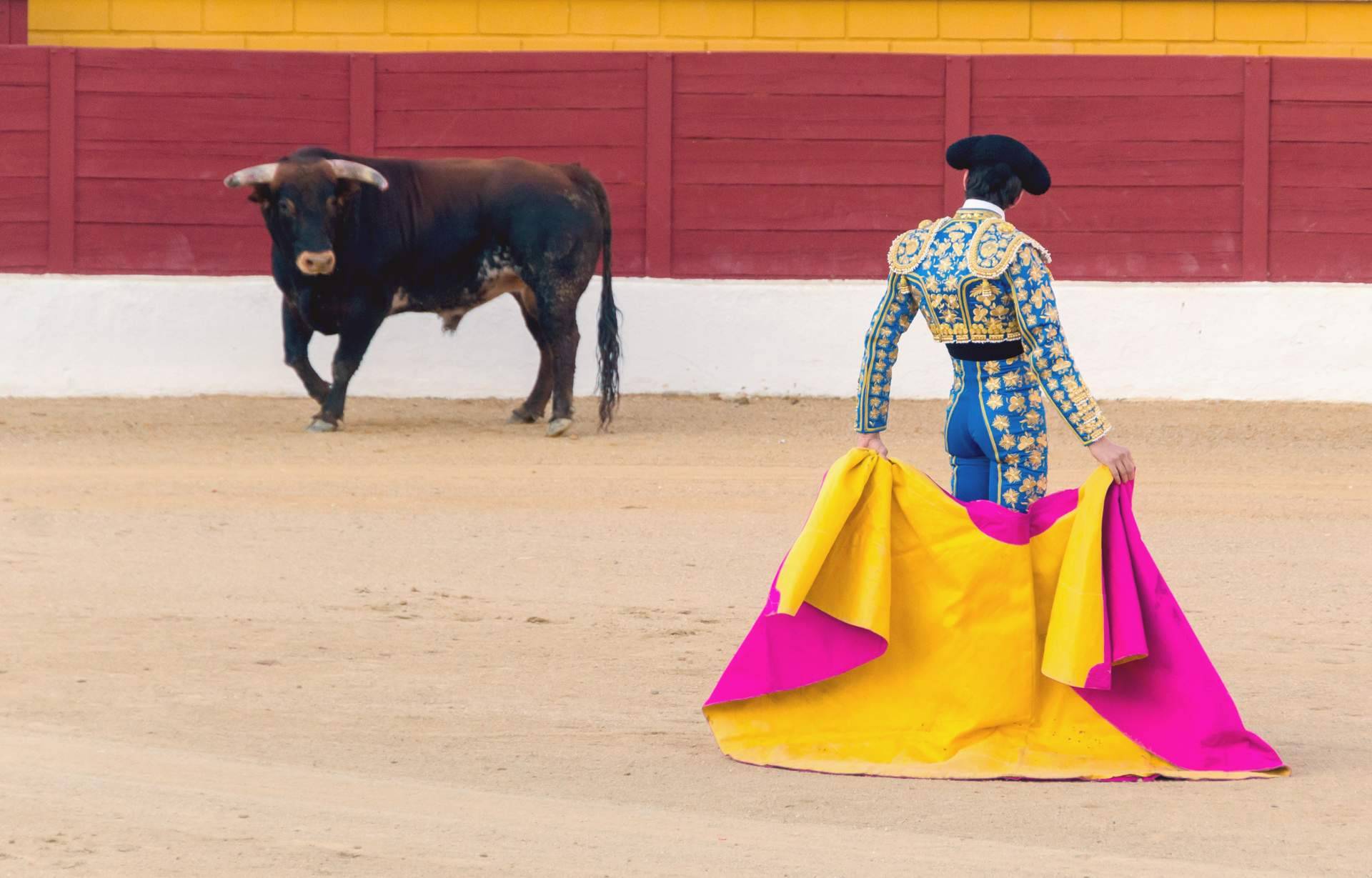 La fina de la empresa Royal Meditar, conocida como ganadería La Manchega, permite celebrar todo tipo de eventos