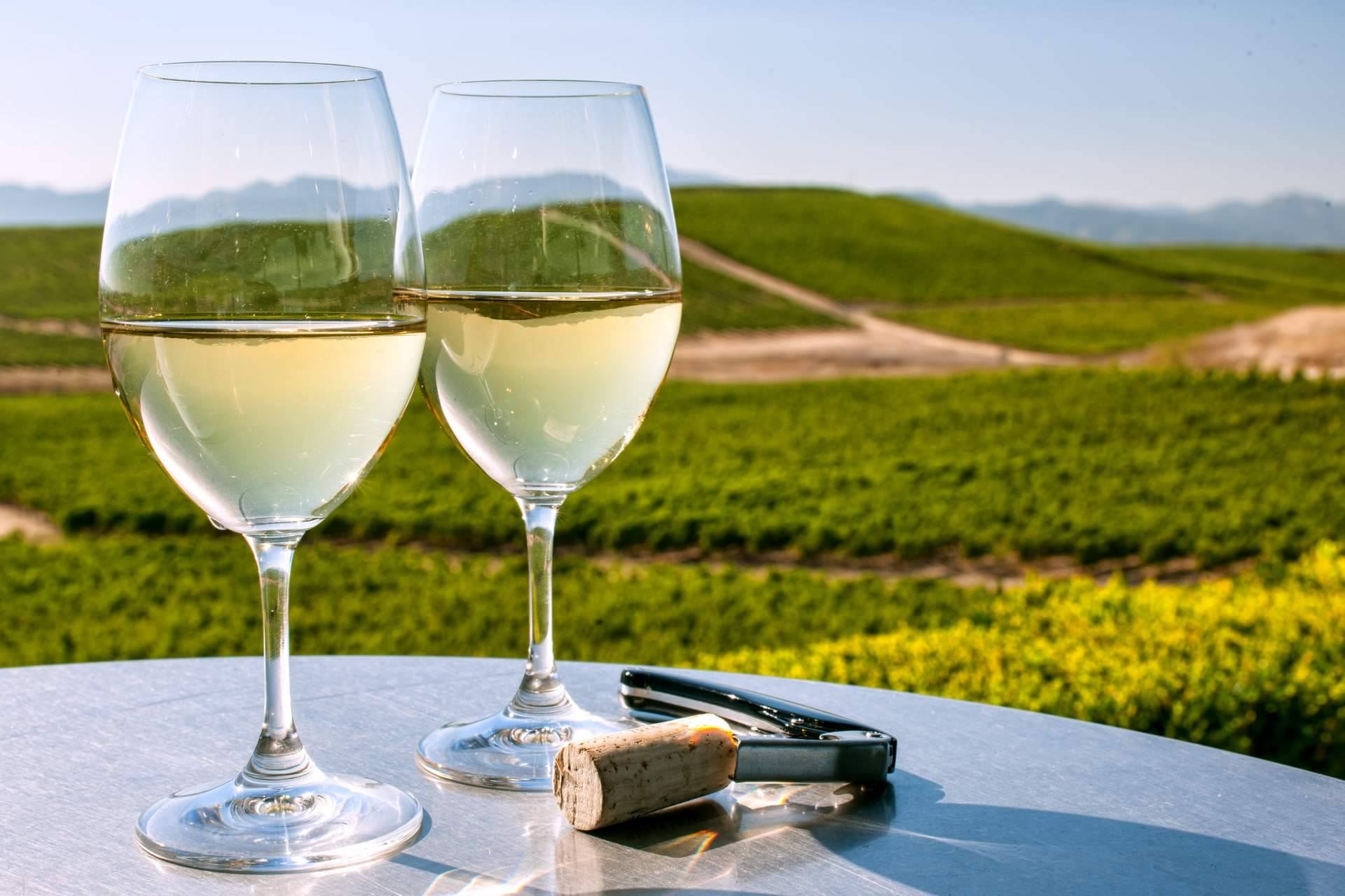 De Gálvez ofrece la naturalidad y el sabor de los vinos del Marco de Jerez