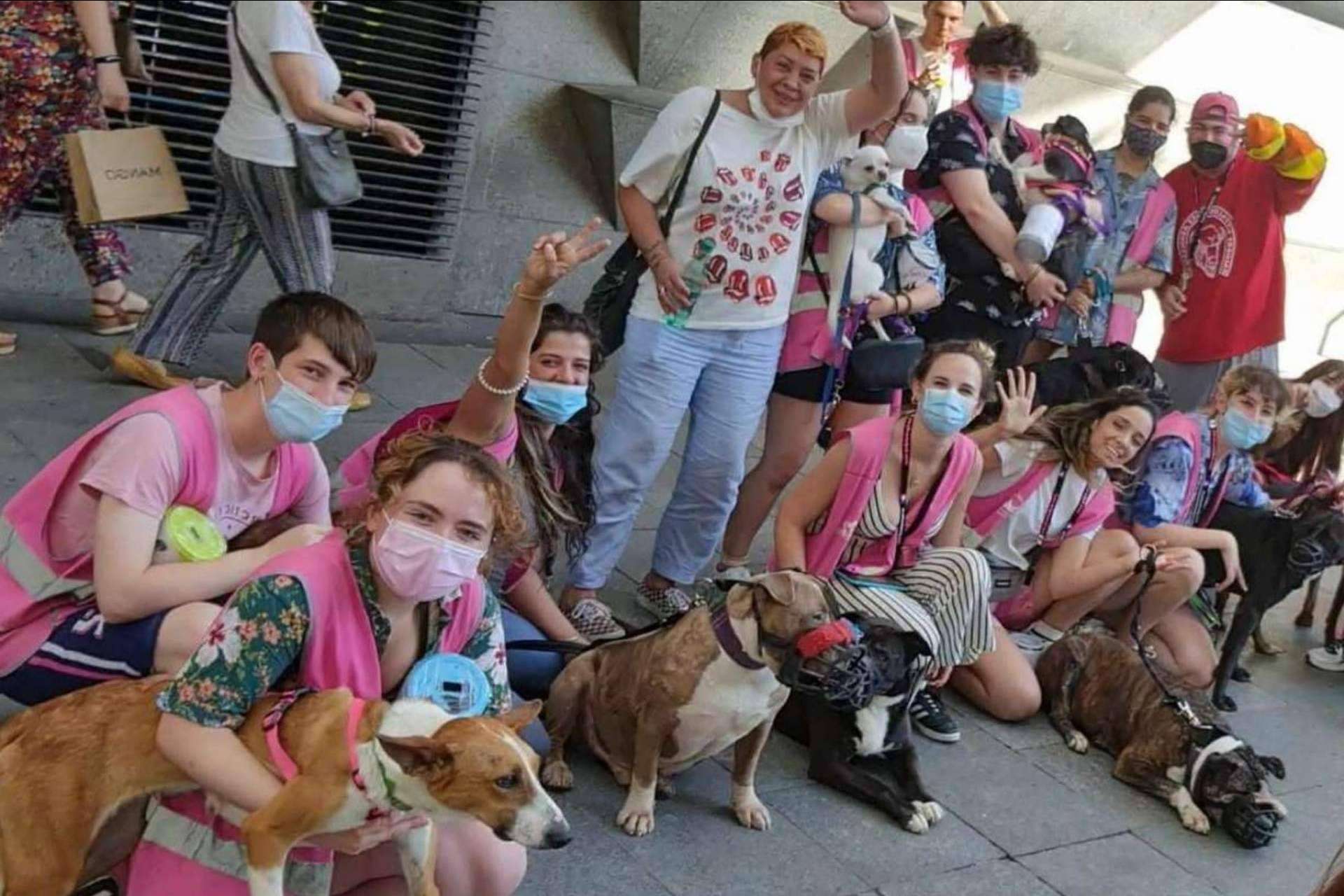 Las mascotas están como en casa, libres y sin jaulas en PERROBUENO