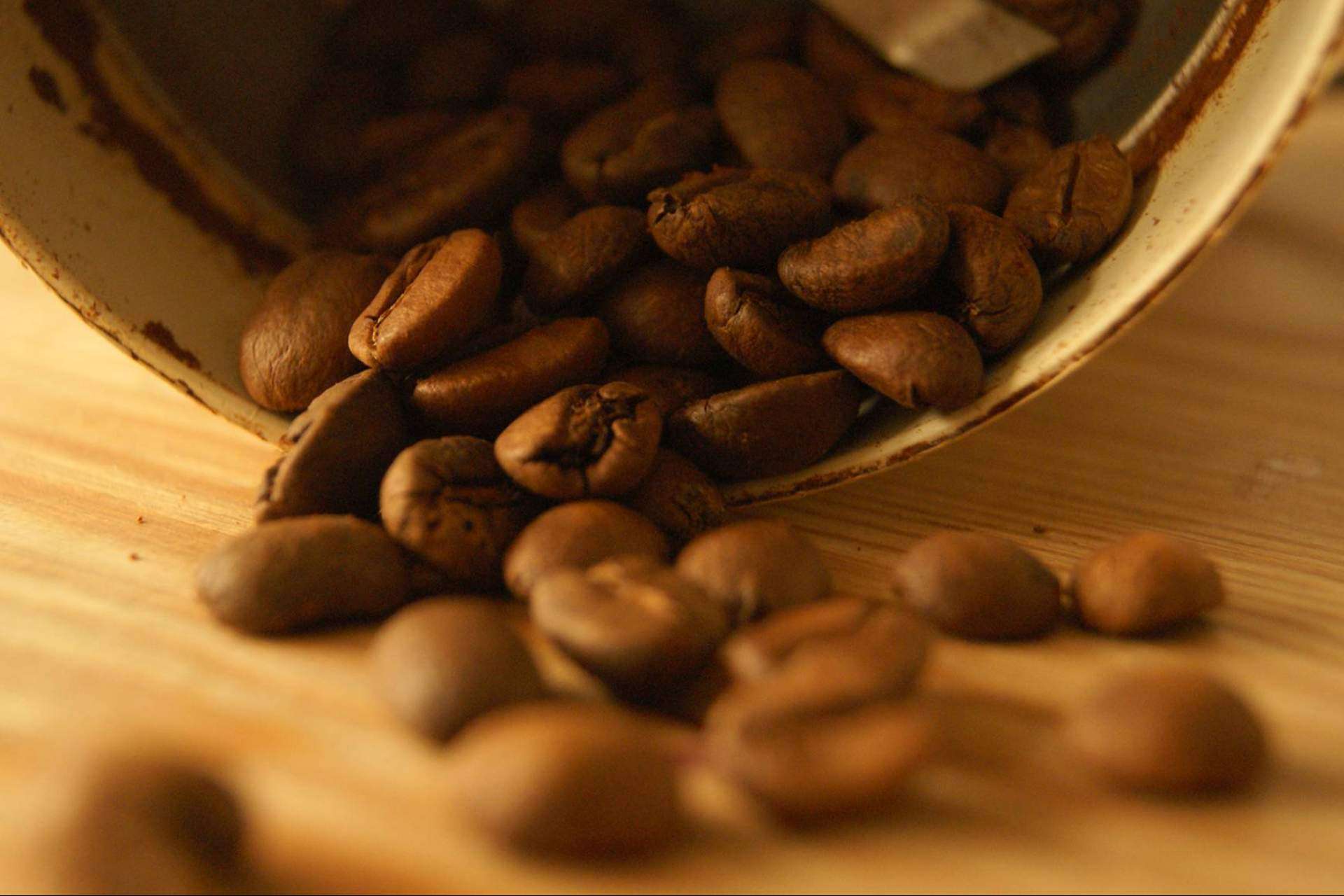 Garantizar una bebida justa y sostenible es posible con Cafés Guayacán, el mejor café especial