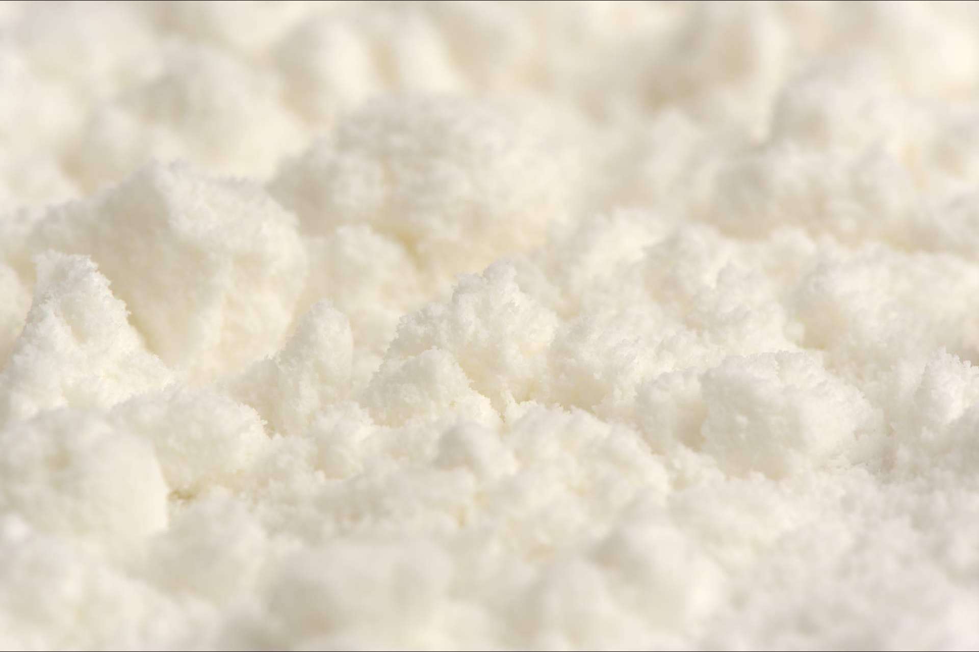 Leche de coco en polvo, el gran producto cautivador de Mediterranean Superfoods