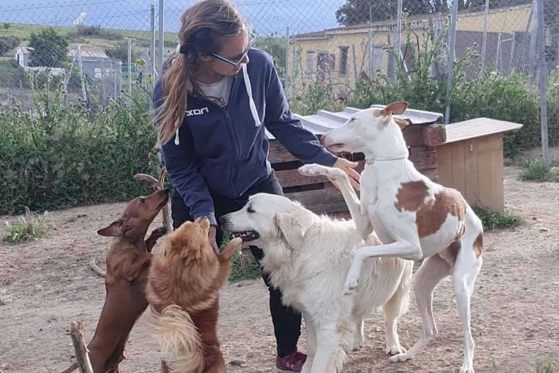 PERROBUENO: guardería de día de perros
