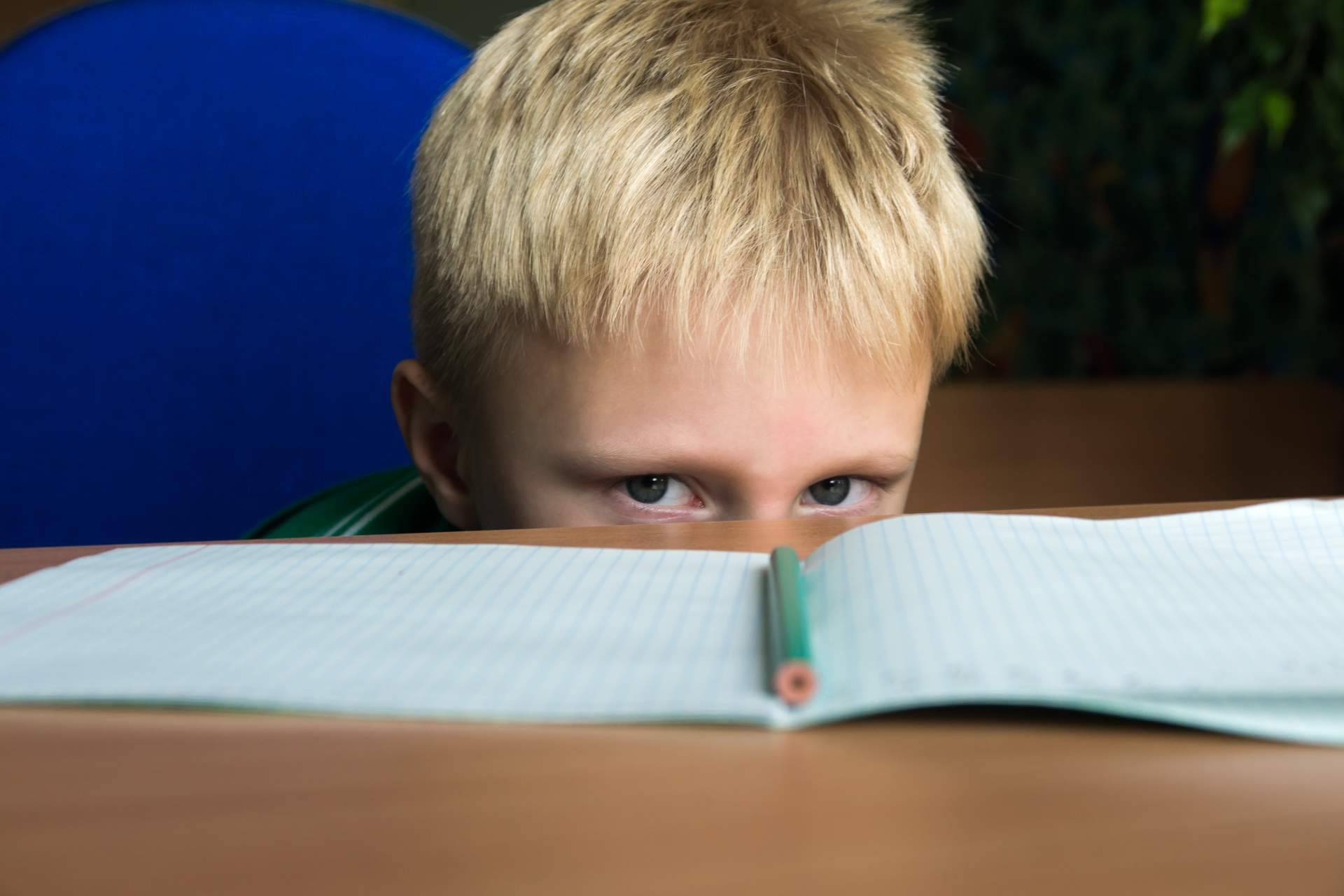 Área 44 Servicios Educativos: el objetivo de una evaluación psicopedagógica