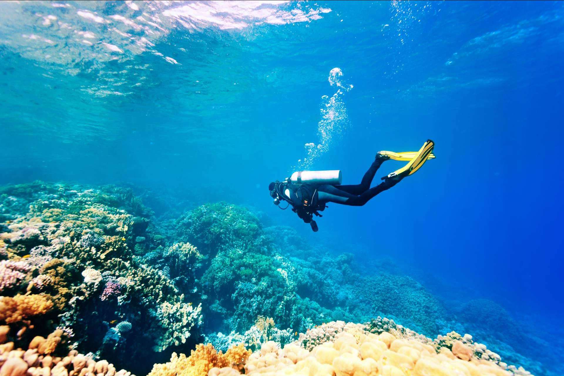 Gestión Emocional: las ventajas de los cursos de gestión de estrés en el buceo