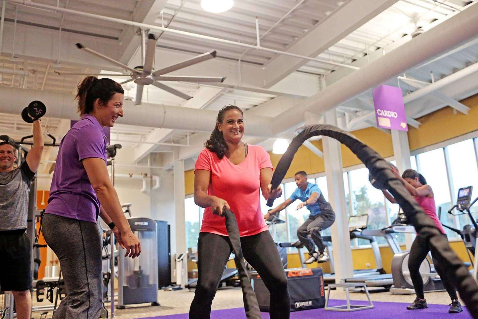 Ideas para crear una empresa, por la reconocida franquicia Anytime Fitness
