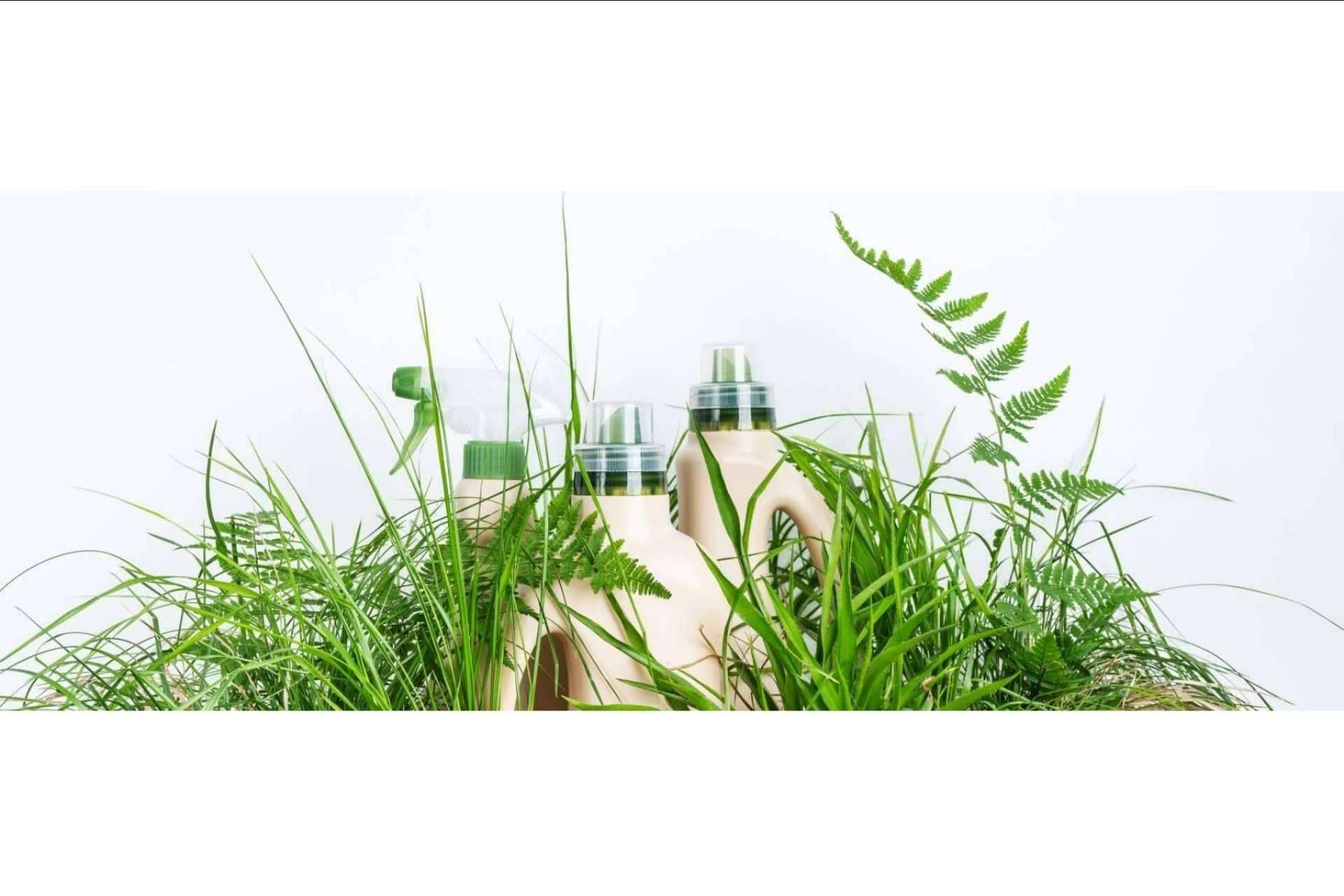Abrir una Ecocleans franquicia