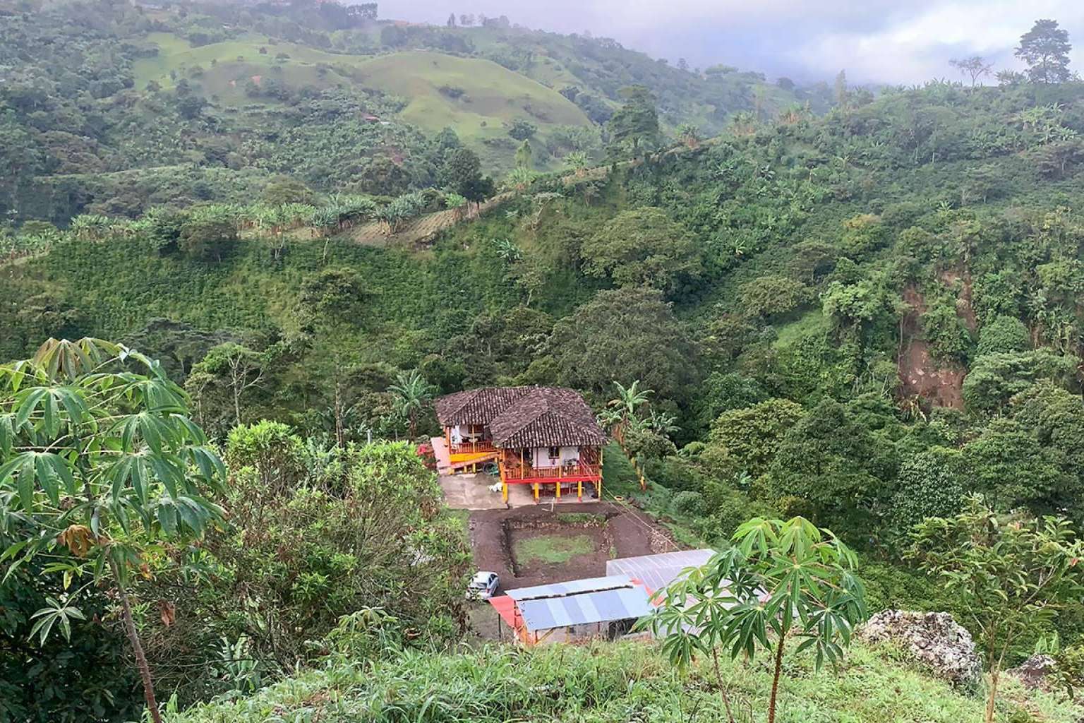 La empresa La Guashira es especialista en café de especialidad cultivado en Colombia con raíces alicantinas