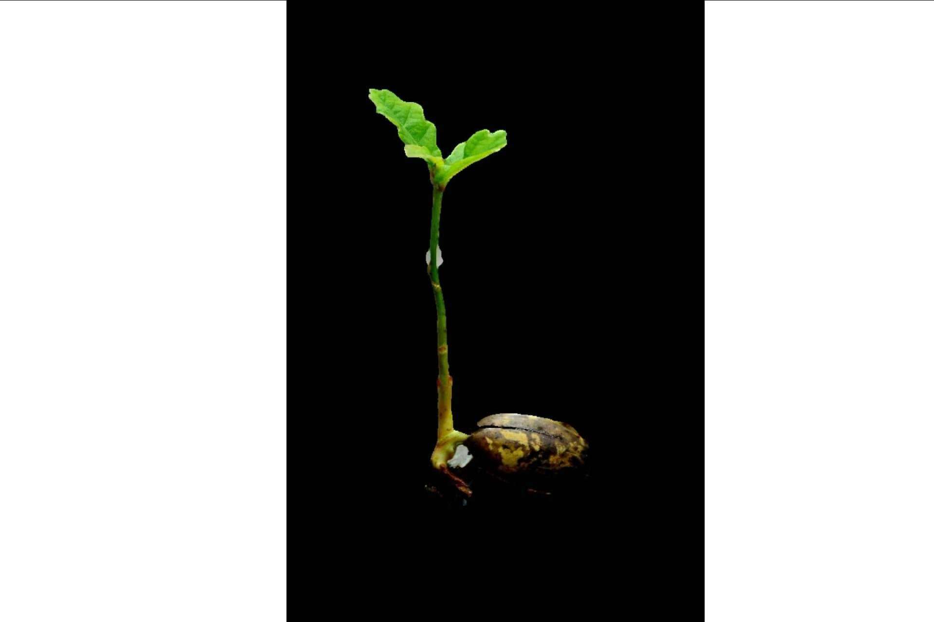 La primera empresa en el mundo creada para luchar contra el cambio climático a través de los centros escolares: Ecoescuela