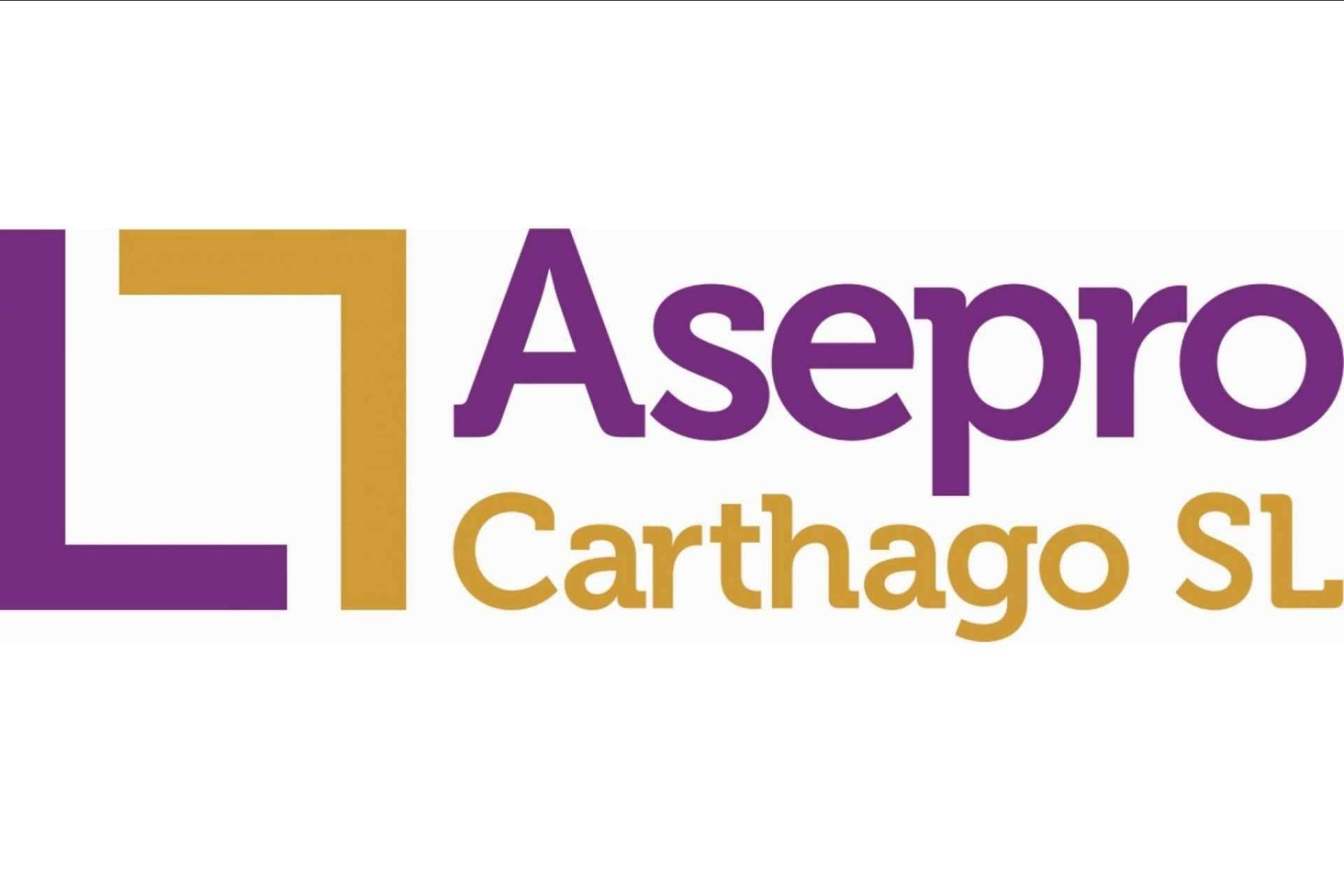 La importancia de la contabilidad para la gestión de un negocio, según Asepro Carthago