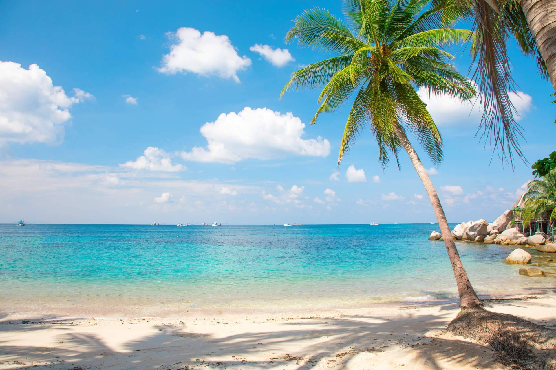 Felices Vacaciones ofrece múltiples ofertas al Caribe para los españoles que buscan el sol en los meses de invierno