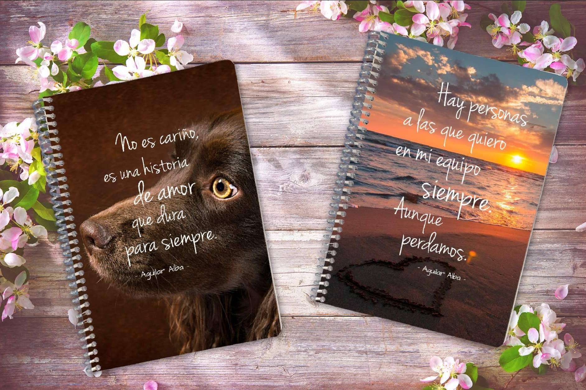 Tres en un Burro ofrece agendas 2022 y libretas únicas, los regalos divertidos del catálogo