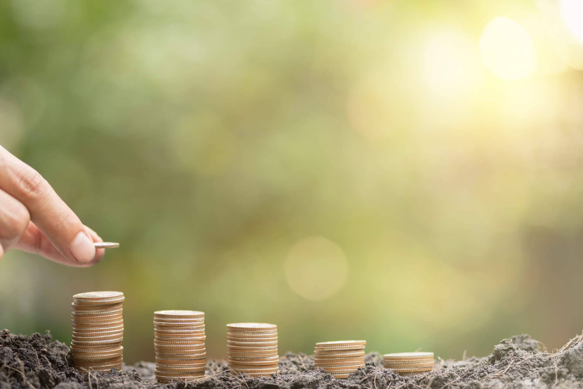 Costes hormiga y clientes hormiga, ¿Cómo evitar ciertos riesgos financieros en el negocio?