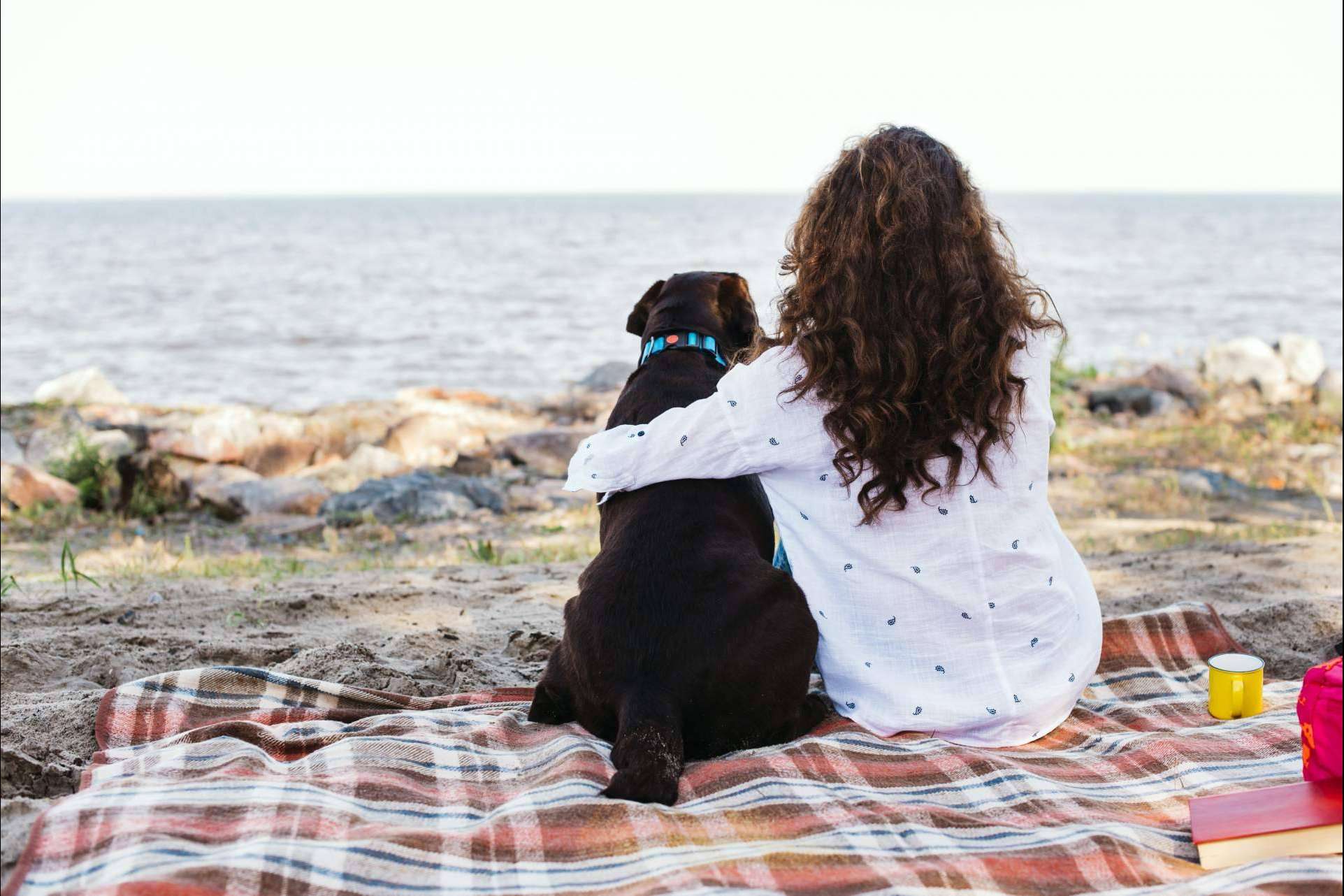 De Tapas con Mi Perro, la start-up que fomenta la inclusión de las mascotas y sus familias en locales y actividades de ocio