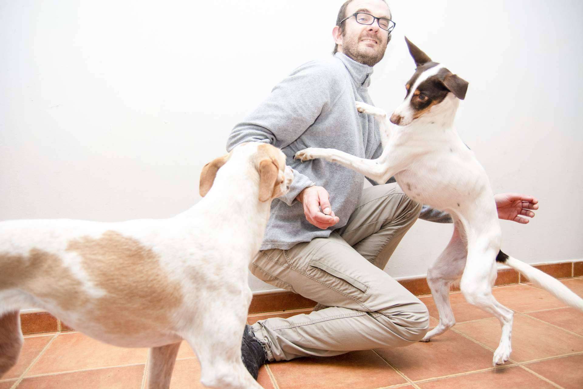 Educación canina amable y respetuosa de la mano de David Lapido