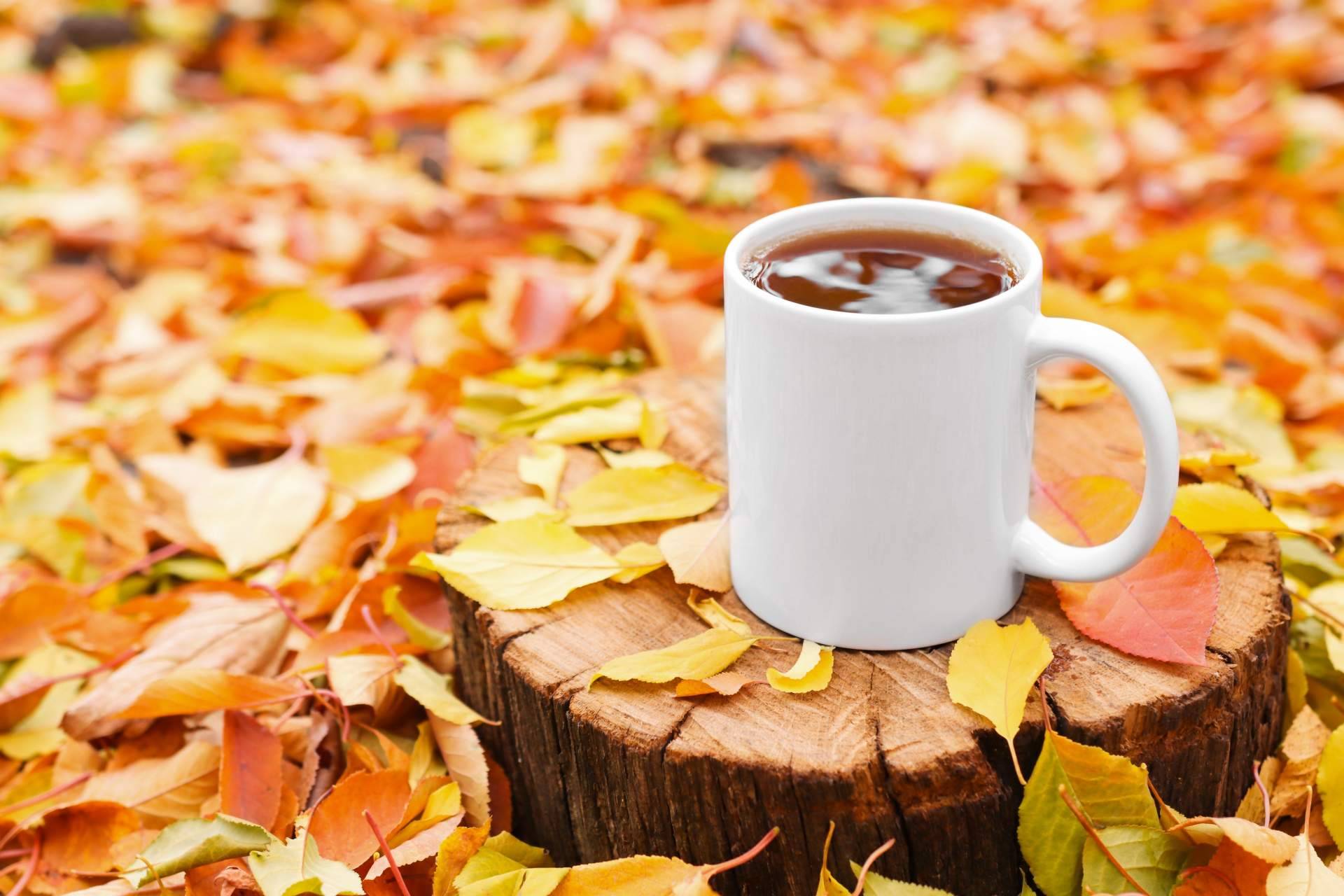 3 originales formas de utilizar las tazas publicitarias para llegar al corazón de los clientes, por RegaloEmpresas