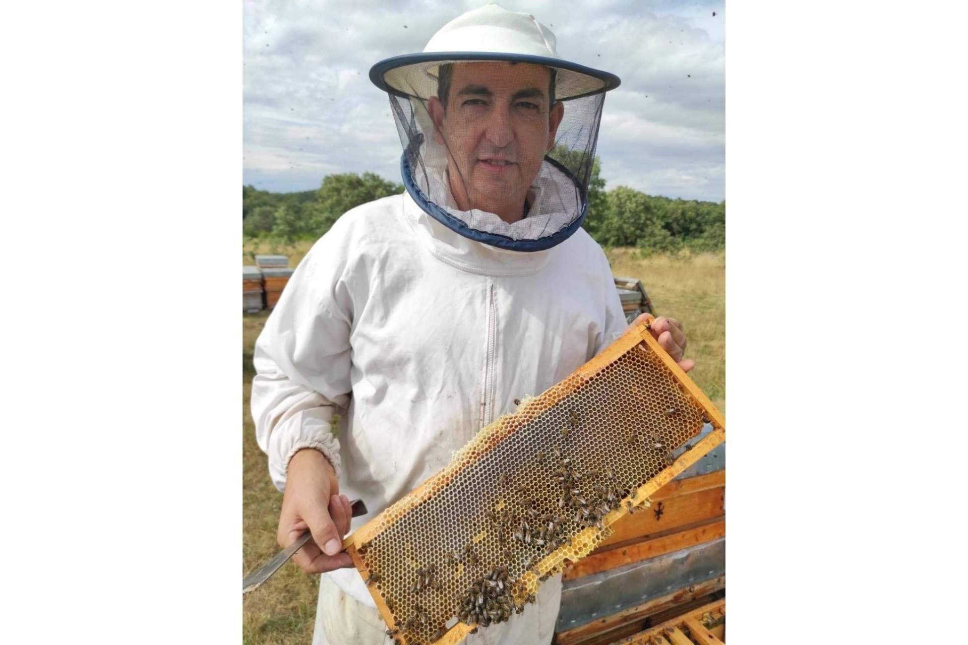 Las propiedades de la miel de romero, cuando la primavera regala sabor y salud