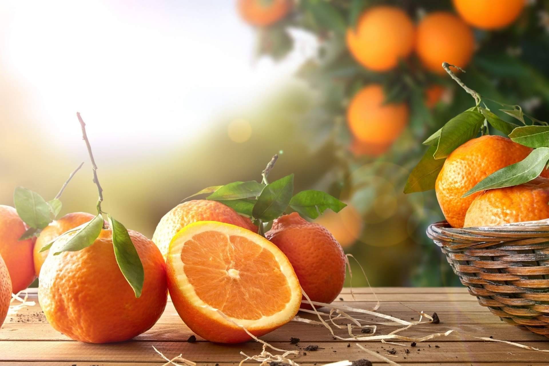 Sabor a Naranjas explica los beneficios de la naranja para la salud