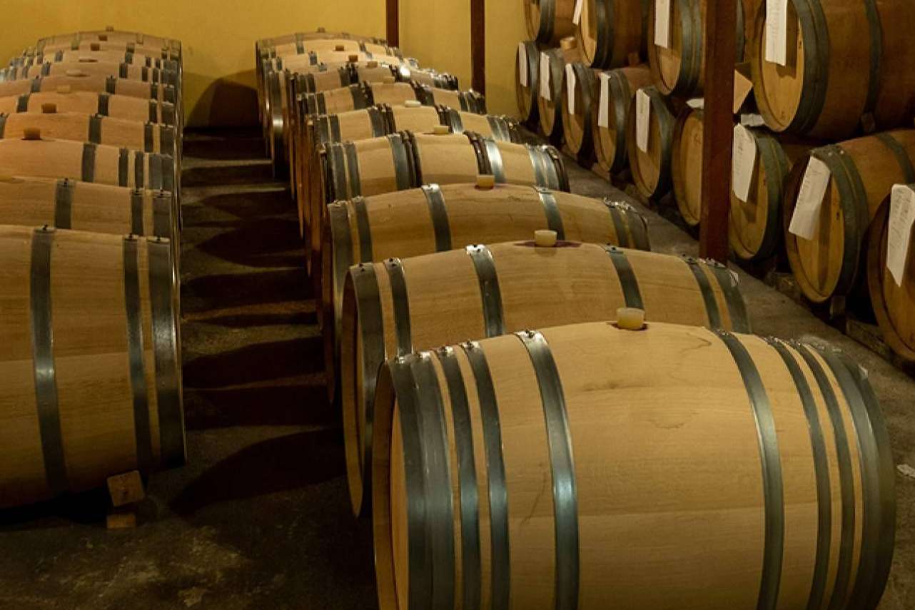 La maravillosa experiencia de disfrutar de vinos ecológicos con 3.10 Celler