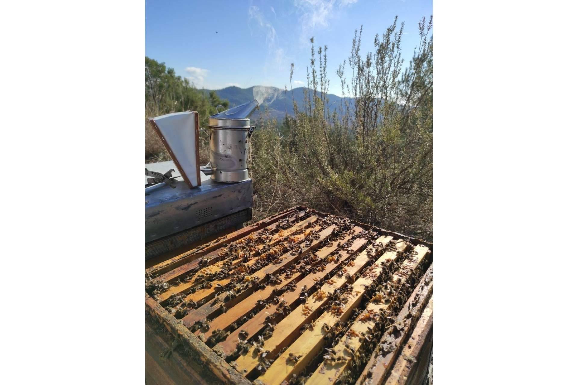 Miel y Sabor respeta el cuidado de las abejas
