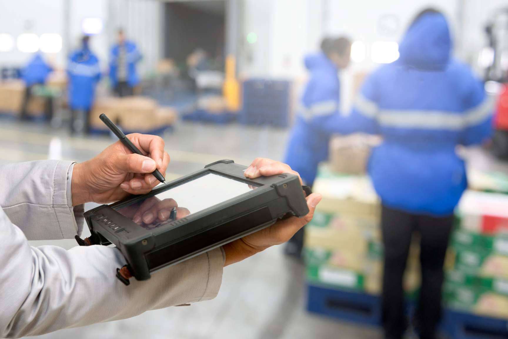 ALBA IBS, software de gestión empresarial para el sector de la alimentación
