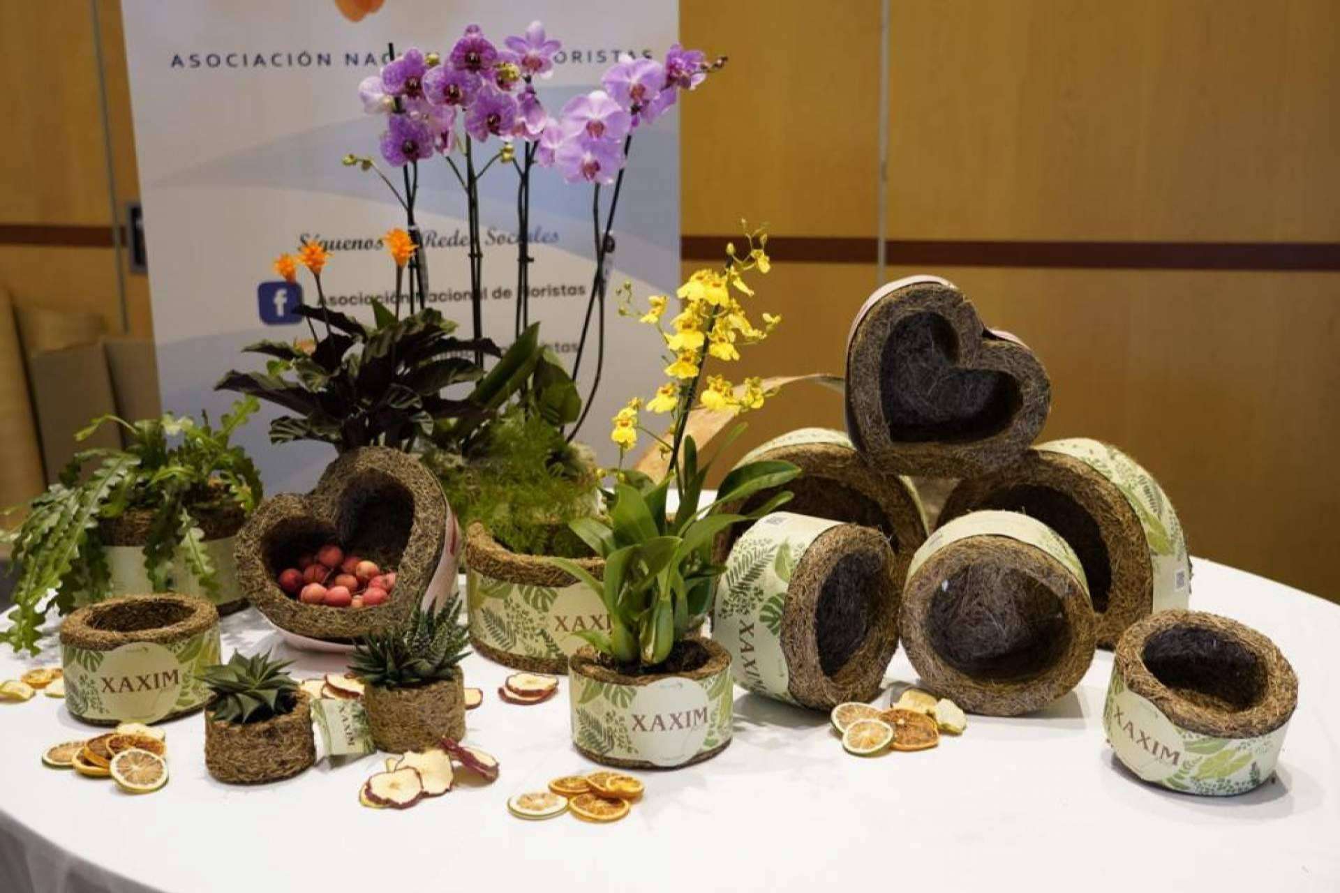 Contribuir a un mundo verde a través del emprendimiento de Biosolvit Spain, Xaxim Pots