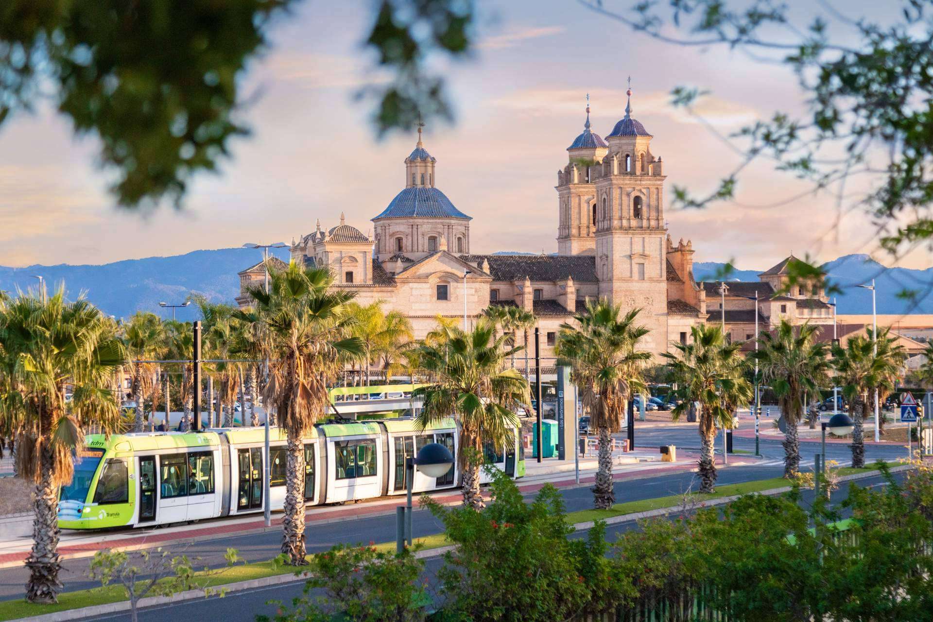 La exclusiva oferta formativa en Expodental 2022, PgO UCAM