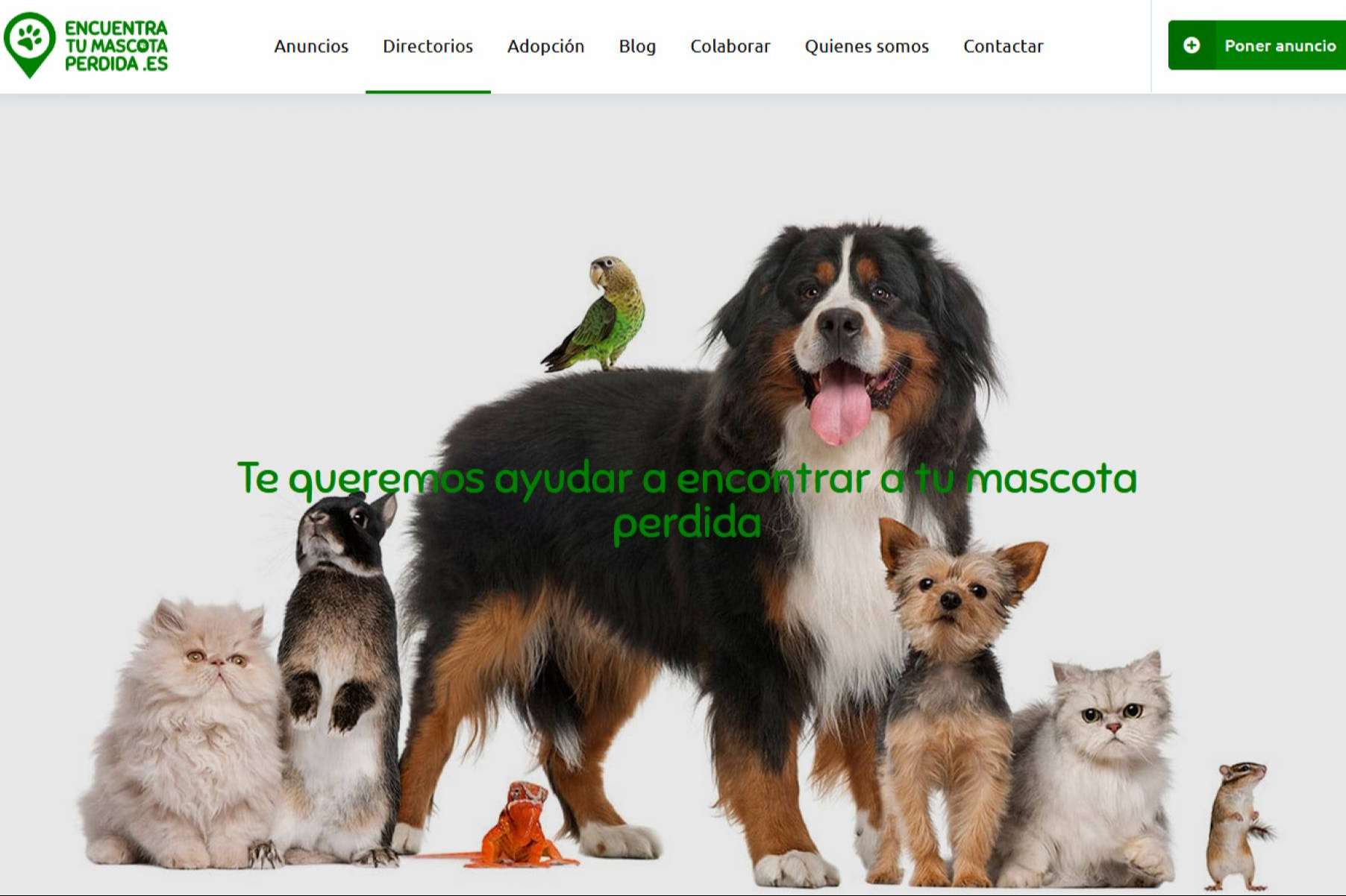 Encontrar una mascota perdida, la propuesta de una plataforma especializada