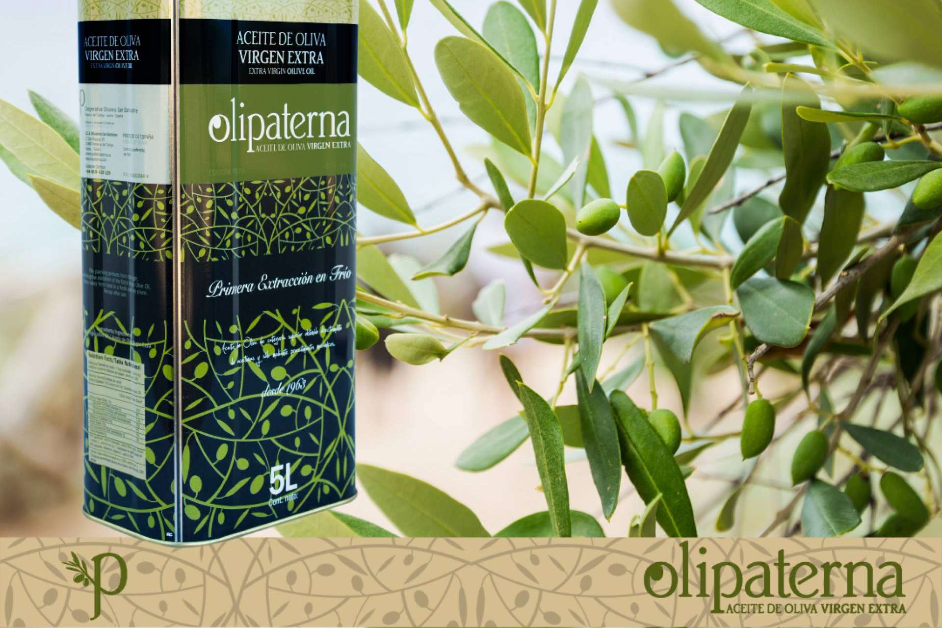 El aceite de oliva virgen extra de Olipaterna
