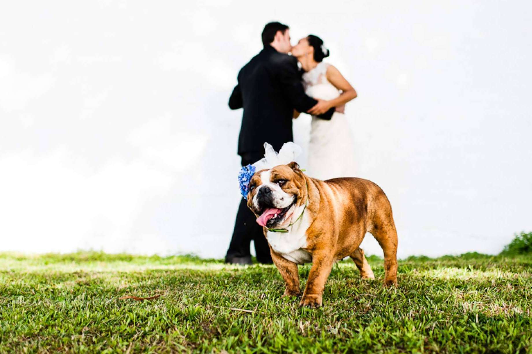 Fotos de boda originales y diferentes para dar un toque personal con Dani Dávila