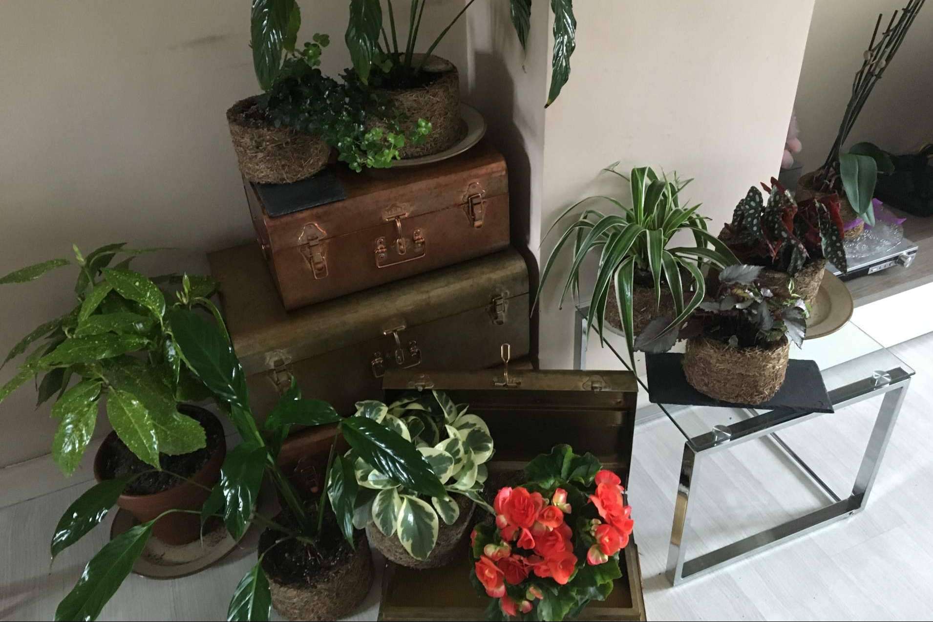 Dejar de usar plástico ya no es una tendencia de decoración, sino una prioridad para la salud humana
