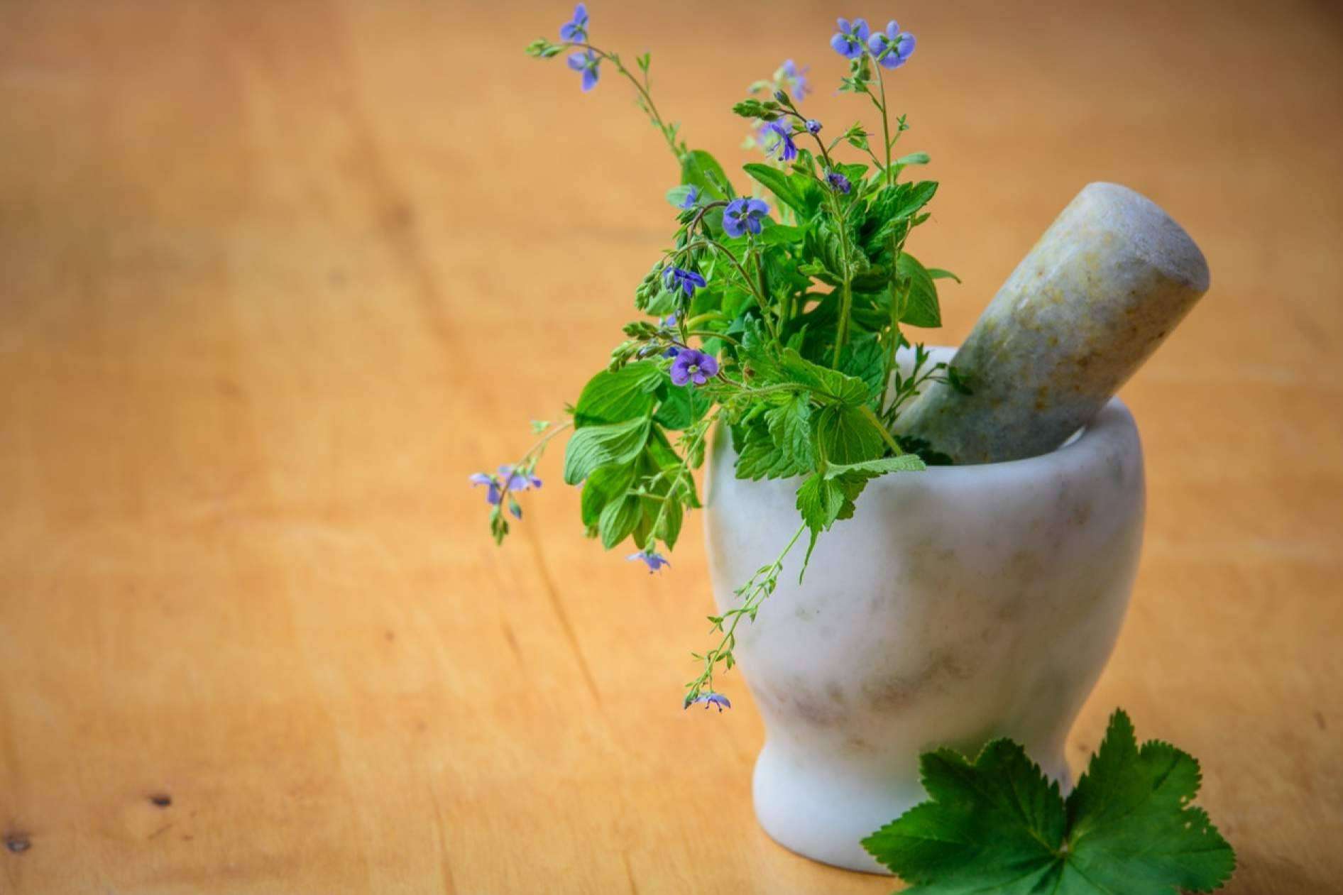 Para aprender todo sobre las plantas medicinales y sus usos se puede optar por la formación en fitoterapia