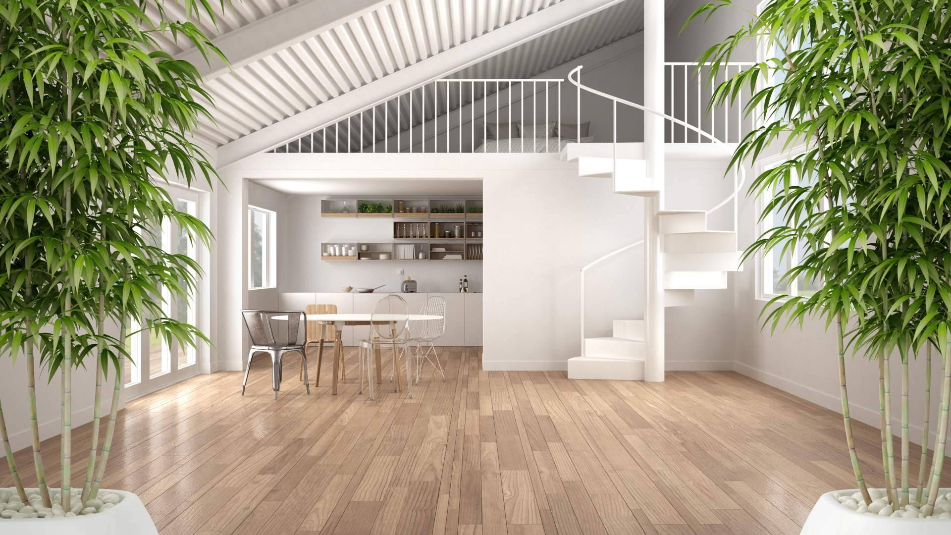 Reformas con la interiorista especializada en Feng Shui, Sonia Ramos