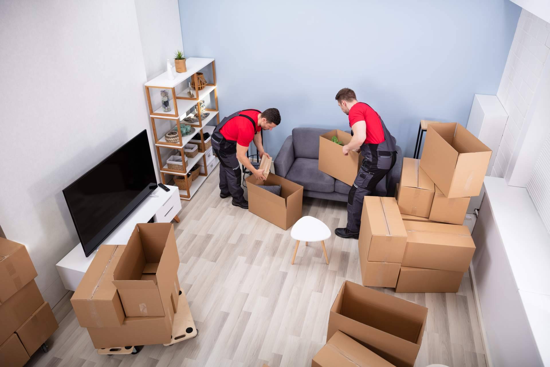 Más Mudanzas, la renovación del sector de las mudanzas